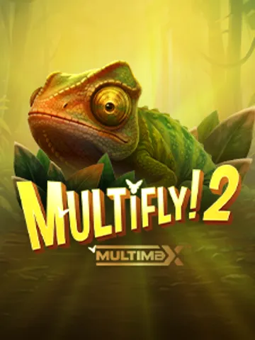 MultiFly 2